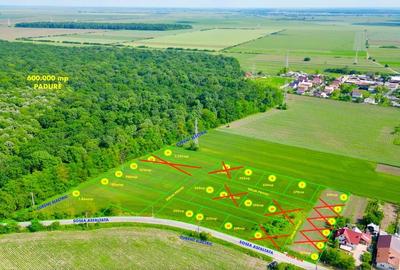 PROMOTIE! Loturi Valea Calugareasca langa padure,utilitati. RATE! PUZ FINALIZAT - 1