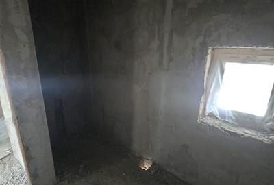 Casă individuală în vatra satului Albina - 4