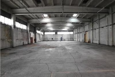 Spatiu Industrial - 500 mp - Productie - Depozitare - 1
