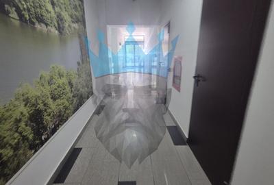 Apartament 3 Camere Belvedere Park Baba Novac Bucuresti - 28