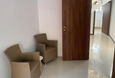 Vila multifunctionala,  980 mp, 1500 mp teren - 16