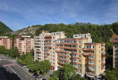 Apartament spatios cu 2 camere Parcul Trandafirilor Racadau - 3