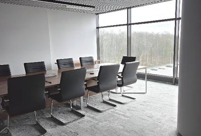 Platinum Business & Convention Center, Baneasa, 493 - 5272 mp  0% comision! - 8