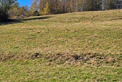 Teren extravilan in localitatea Bulz - 14