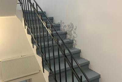 Casa Individuala | Vasile Lascar - Eminescu | 355 mp utili | 9 Camere - 13