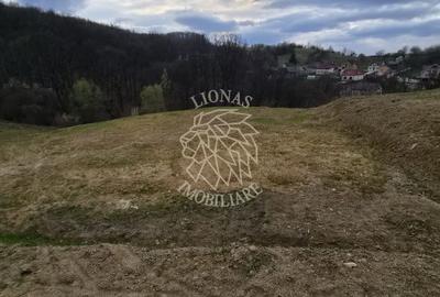 Teren extravilan 1930 mp,  5 min de centru, ideal Cabana, invetitie - 1