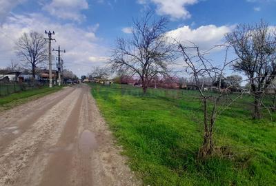 DE VANZARE TEREN 3400 MP IN SAT PODU ILFOVAT / COM BUTURUGENI (GR) - 8