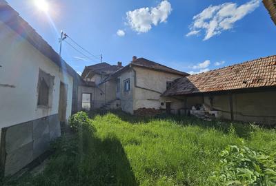 Casa la tara cu 3 camere + teren intravilan Sup 962 mp, Colesti, Bihor - 9
