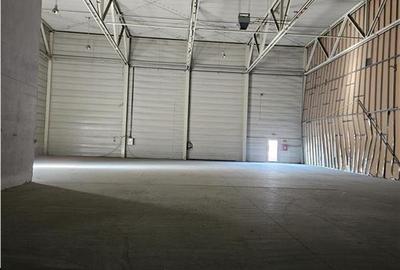 Spatiu Industrial - 4000 mp - Logistica - Depozitare - Distributie - 7