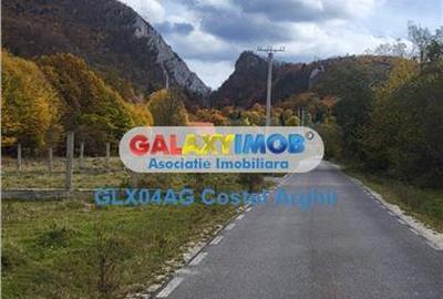 Vindem teren 20000 mp Cheile Rasnoavei - Brasov , pentru case vacanta - 8