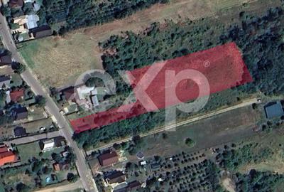 Teren Construcții de 5000 mp, în Dealu Viilor (Moșoaia)