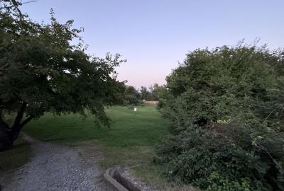 Hotel 25 camere 100 m deschidere DELTA DUNARII teren 12000 mp acces auto - 9