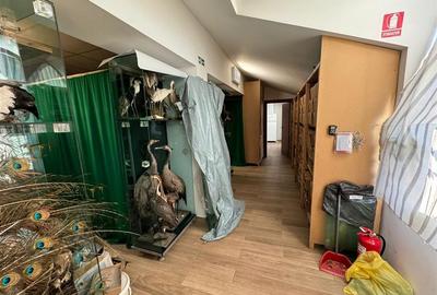 Cladire cu un aspect aparte de inchiriat in Centrul Focsaniului - 12
