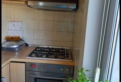 Apartament 3 Camere, Zona Aradului, Mobilat si Utilat Complet, 2 Bai, 3 Balcoane - 11