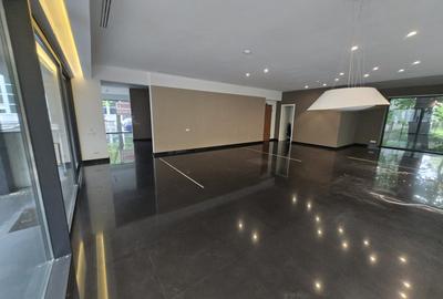 SPATIU COMERCIAL STRADAL IN ZONA FLOREASCA - 5