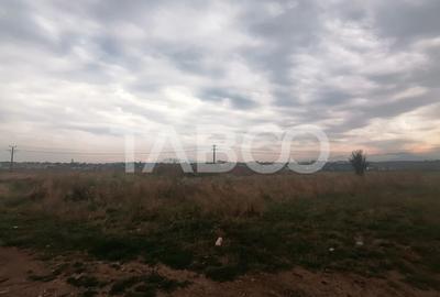 Teren de vanzare intravilan 3421 mp cu deschidere de 180 m Turnisor - 1