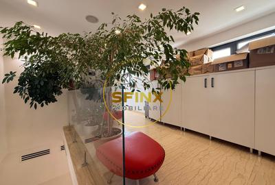 2 camere birou/ Muncii/ Agricultori/ sala sedinte/ utilitati incluse in chirie - 12