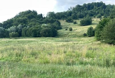 Teren intravilan unic dezvoltare turistica PUZ S+D+P+2,3M hotel, case de vacanta - 11