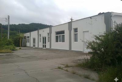 Hale + Atelier Mecanic + Birouri - 1