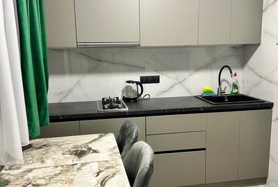 Apartament cu 2 camere de inchiriat in zona Take Ionescu - 5