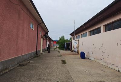 Hala vanzare Calea Republicii - 2
