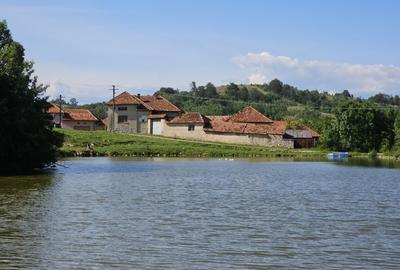 Casa la tara cu 3 camere + teren intravilan Sup 962 mp, Colesti, Bihor - 5