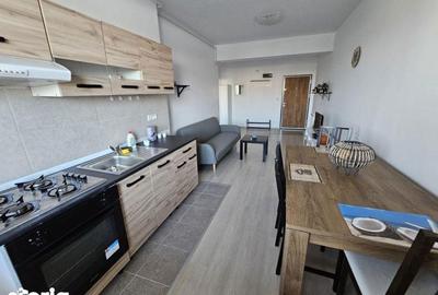 Inchiriere Apartament 2 Camere Zona Vitan - 5