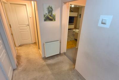 3 Cam-Sagului-5 Min Centru-74 MP--Mobilat-Centrala--112.000 Euro Neg ! - 22