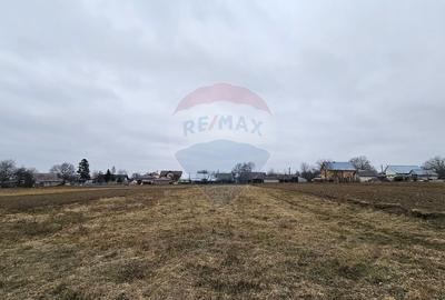 Casă / Vilă cu 12 camere, teren intravilan de 2869mp în Siminicea, SV - 14