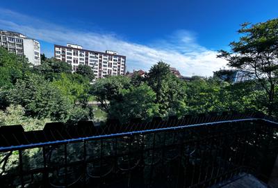 Apartament foarte spațios și elegant - 11