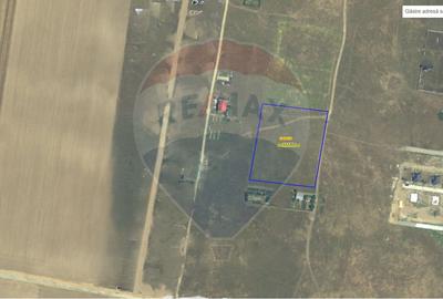 Teren 10,000mp Carcea / Strada Industriilor - 1