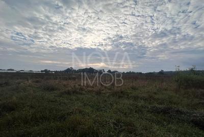 Teren extravilan - 7575 Selimbar - 1