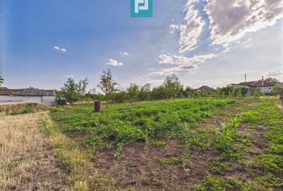 Teren intravilan 1.069 mp în Macea, jud. Arad - 6