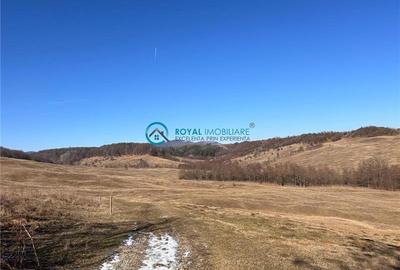 Royal Imobiliare- Vanzare Casa de Vacanta Teisani - 9