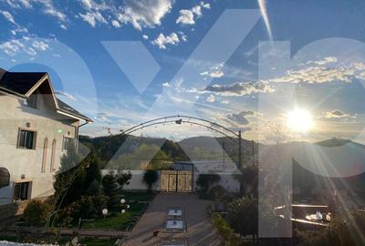 Domeniu de vanzare, Baile Govora(Pausesti-Otasau) cu teren de 20875mp - 10