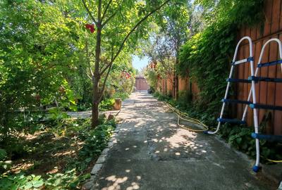 Vila cu sera si gradina amenajata - 4