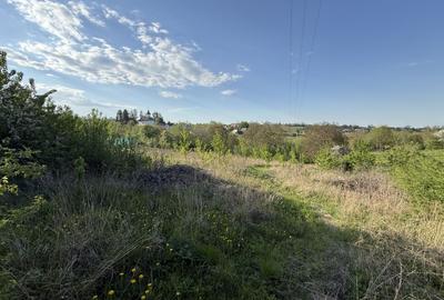 Casă de vânzare | Horodniceni | 3200 MP Teren intravilan - 9