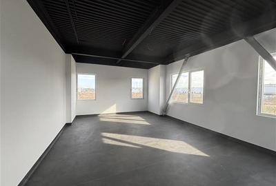 Vanzare depozit/hala/spatiu industrial Otopeni - Centura Nord - 6