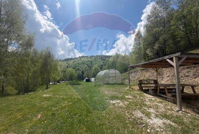 Proprietate eco-turistică de vânzare – 62.330 mp, Horea, Alba - 44