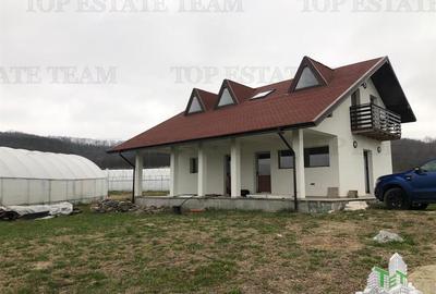 Casa de vanzare in Stanomiru  Judetul Valcea cu un teren in suprafata de 320000 - 9