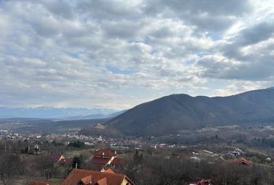 Teren intravilan 5.000 mp in Cisnadioara / jud. Sibiu - 3