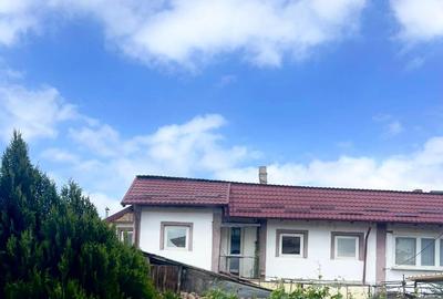 Casa P+E, teren 220 m2, zana centrala, pa langa campia Islaz - 1