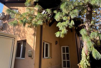 Vila ideala pentru sediu firma sau 2 familii - 1