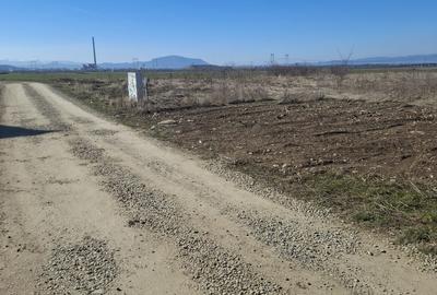 Teren pentru constructie cu utilitati si proiect casa - 2
