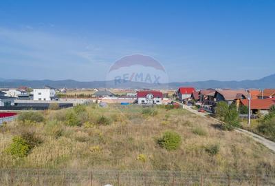 Teren de vânzare 1,000mp Cristian  - intravilan - 1