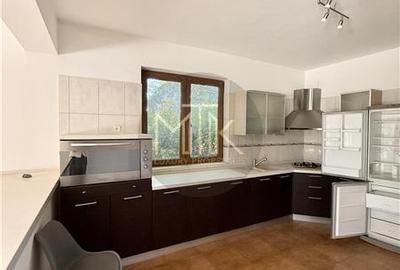 Vila Individuala Spectaculoasa cu Piscina, Erou Iancu Nicolae-Pipera - 12