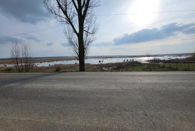 Teren intravilan situat într-o zonă superbă , vis-a-vis de Parcul Natural Comana - 2