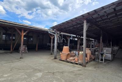 Teren + hale industriale 8785mp + casă–Oportunitate investiție / producție – - 29