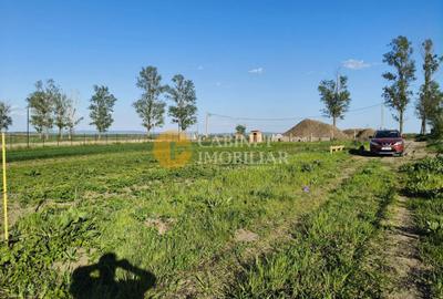 🌳 Teren Intravilan iesire Vorovești - 500 mp - 20.000 Euro 🏡 - 7