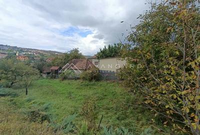 Teren autorizabil Liu | 1000mp | front 30ml | Borhanci - 4